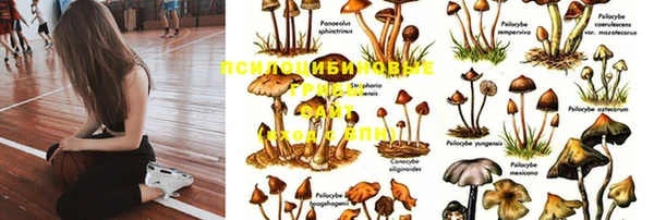 герыч Алзамай